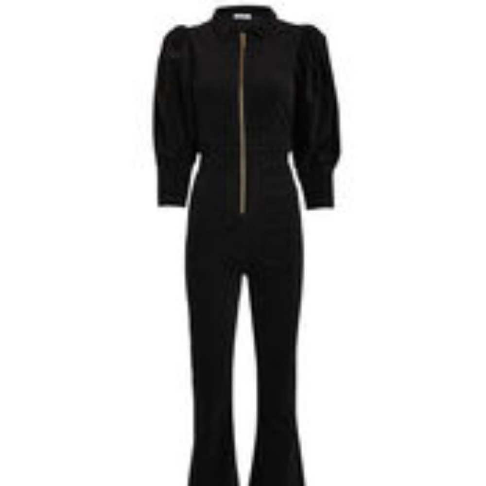 WeWoreWhat 70s Jumpsuit
